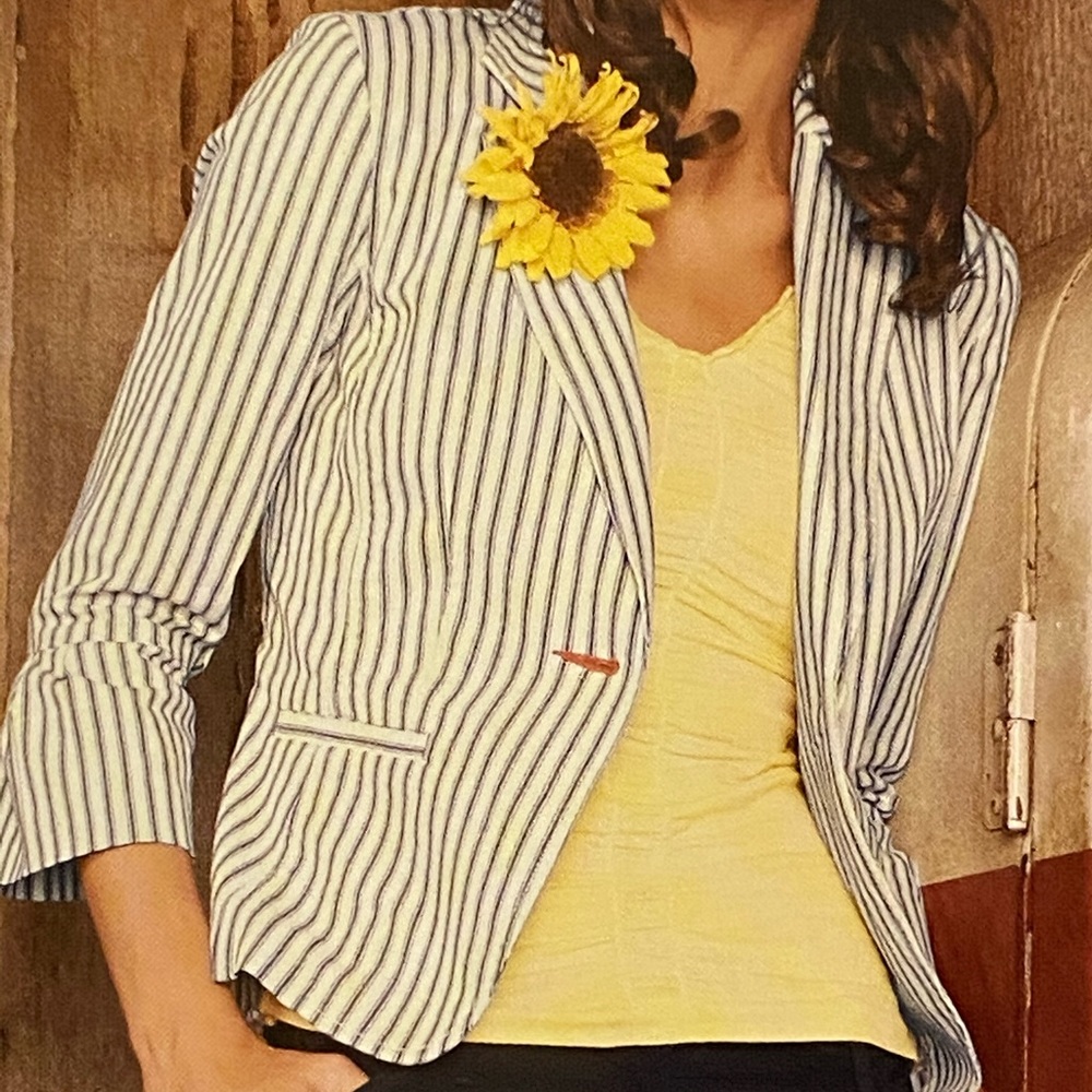CAbi Ticking Blazer size 8